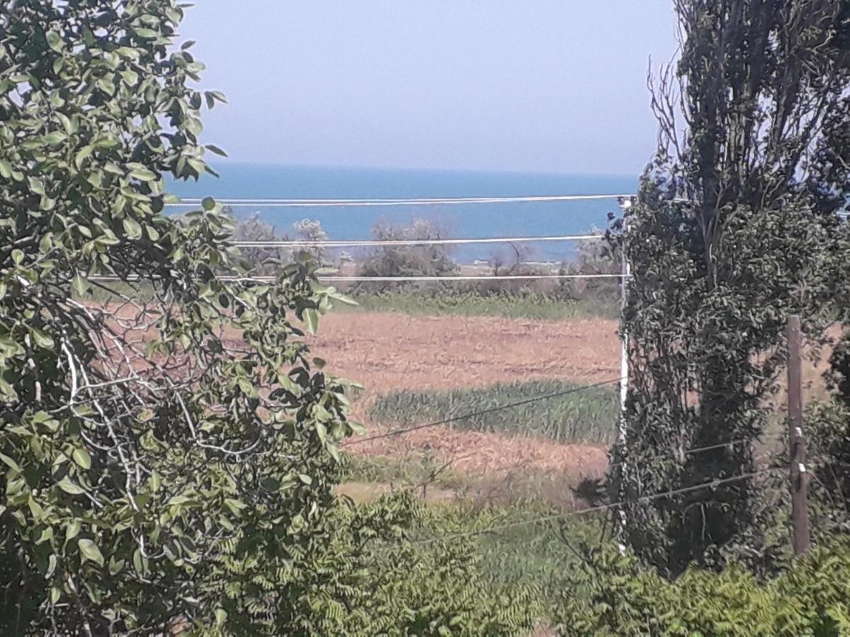 Rey 2 Bed & Breakfast Nabran Dış mekan fotoğraf