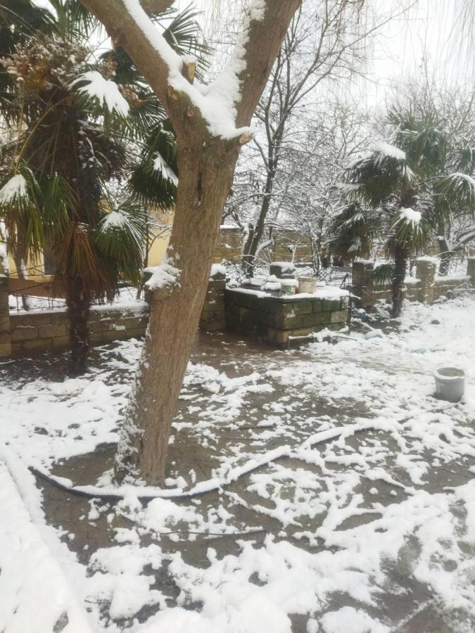 Rey 2 Bed & Breakfast Nabran Dış mekan fotoğraf